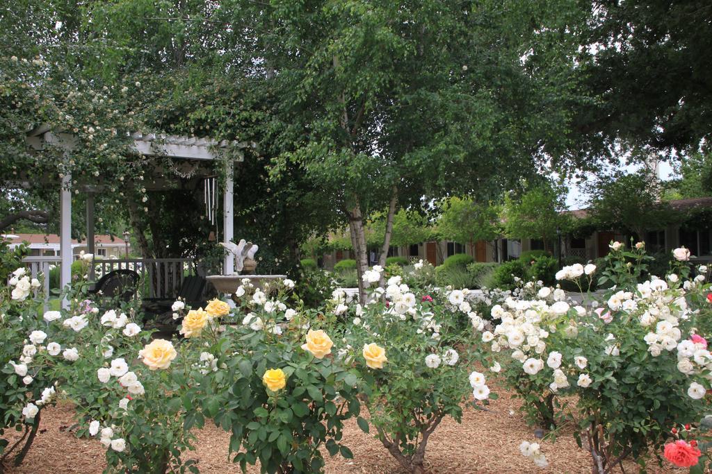 Meadowlark Inn Solvang Ngoại thất bức ảnh