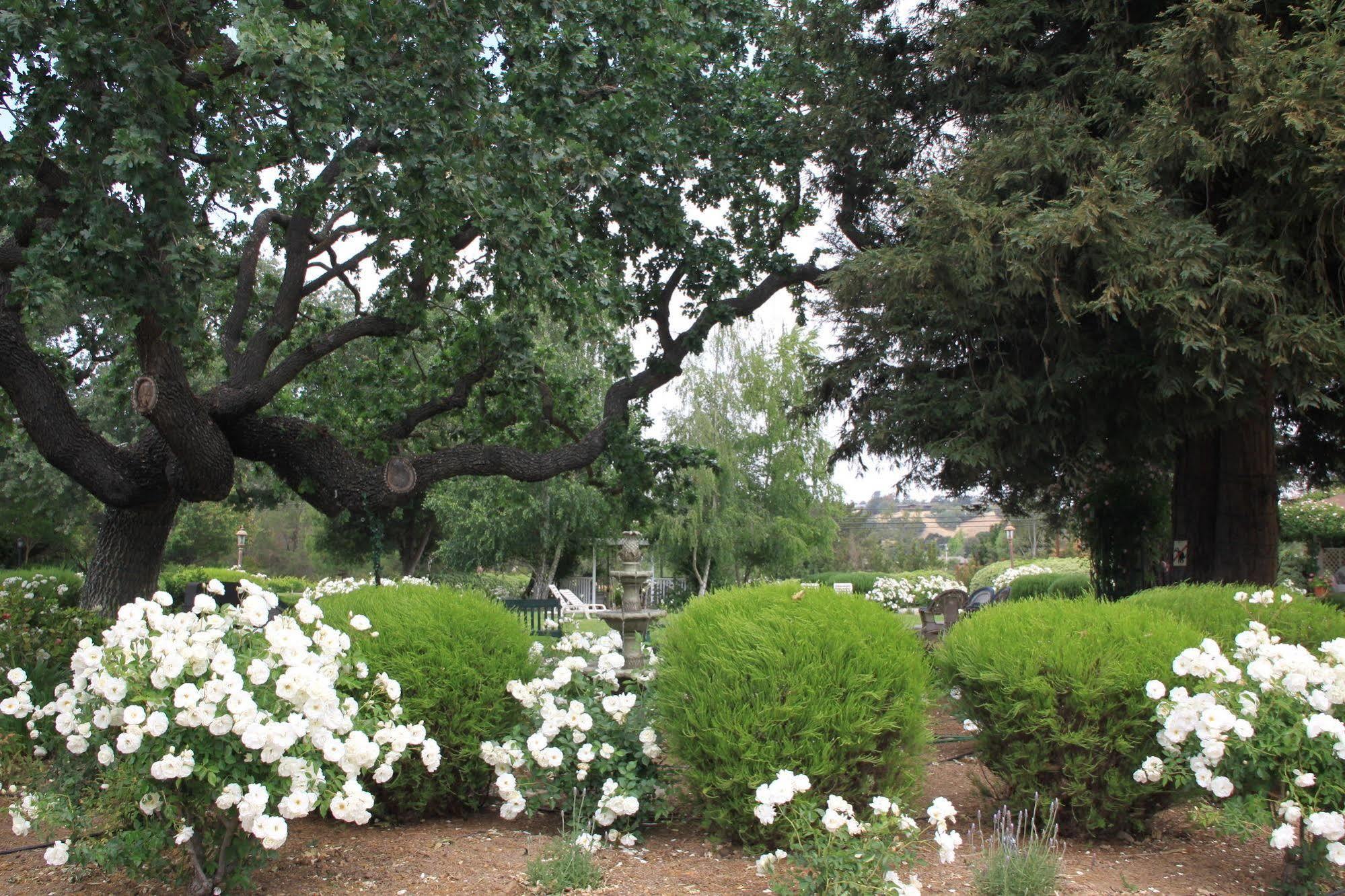 Meadowlark Inn Solvang Ngoại thất bức ảnh
