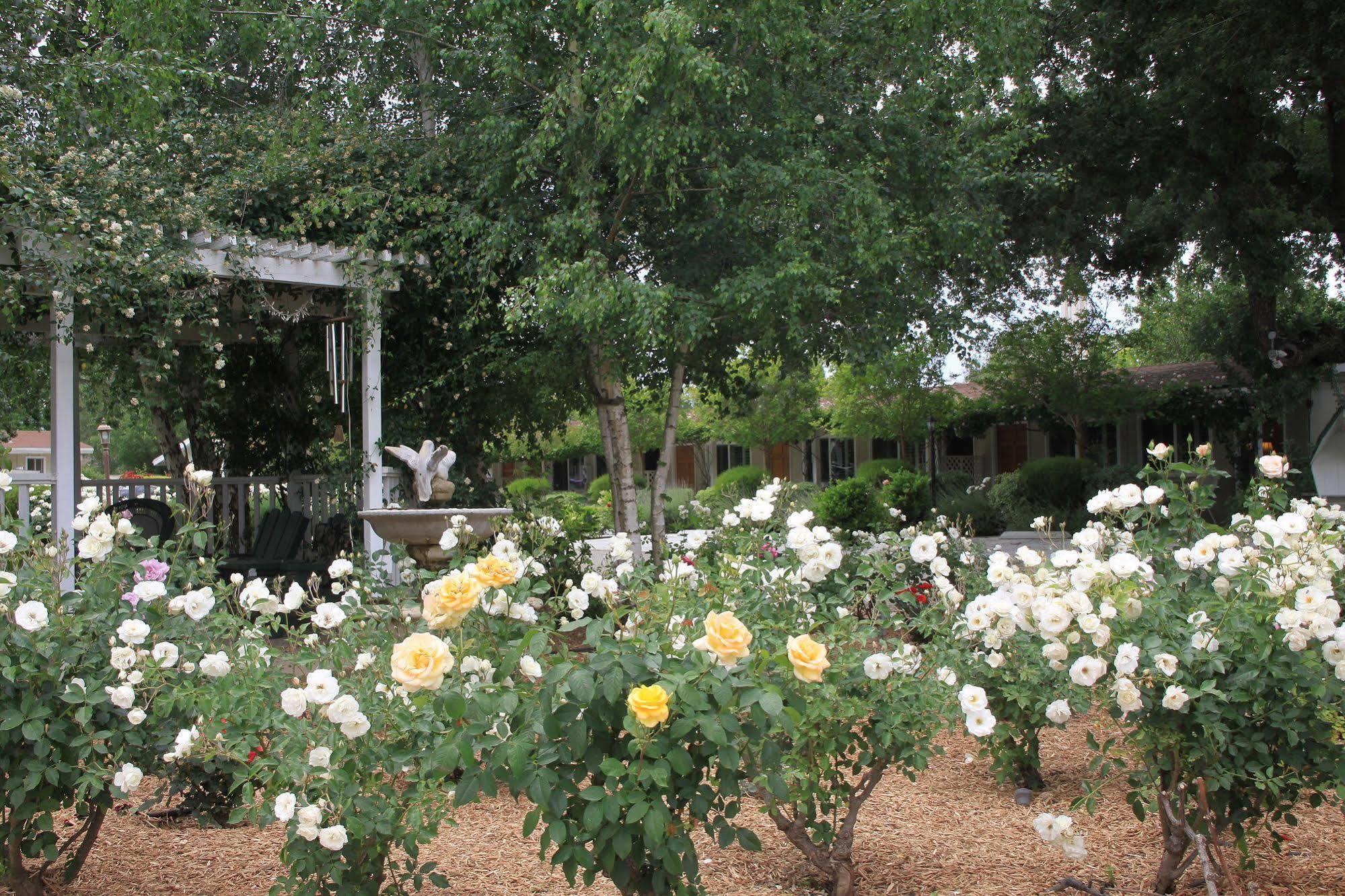 Meadowlark Inn Solvang Ngoại thất bức ảnh